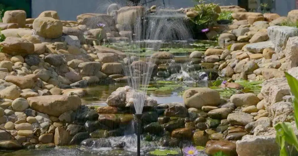 Power Your Pond Naturally: The Way to Make Filtration Easy with a Solar Water Pump