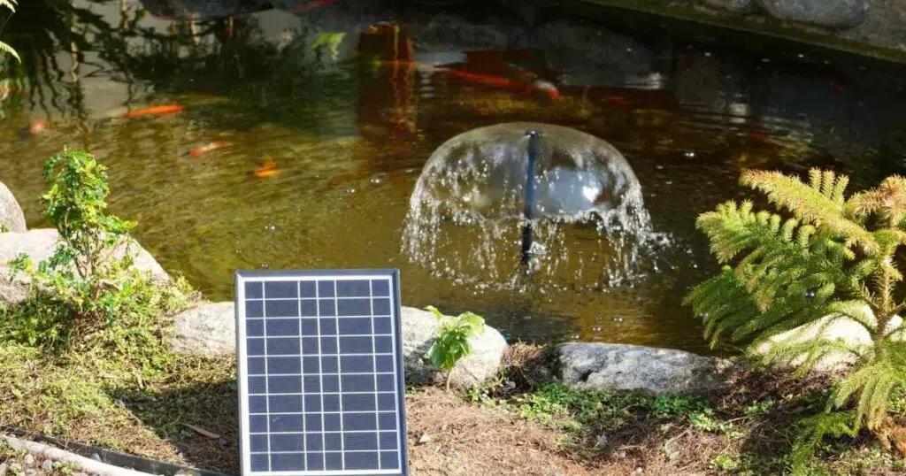 Power Your Pond Naturally: The Way to Make Filtration Easy with a Solar Water Pump
