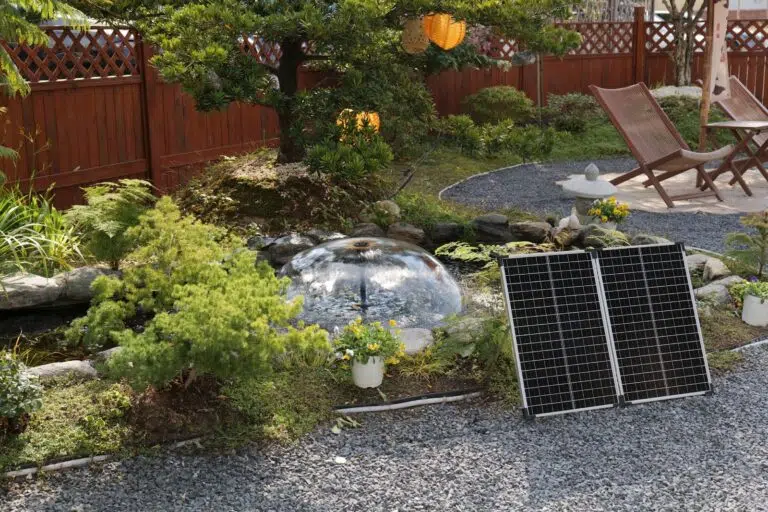 Pond Waterfall Care: Seasonal Tips to Keep Your Garden Flowing Beautifully